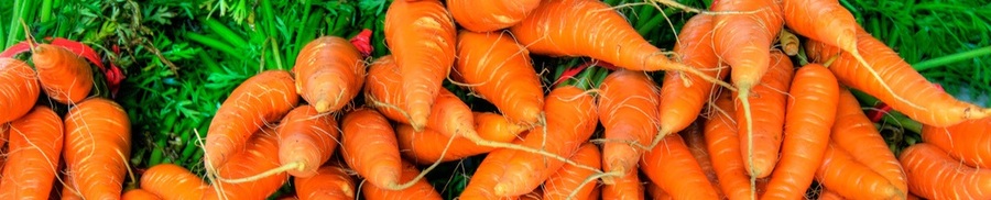Carrots from freeimages.com