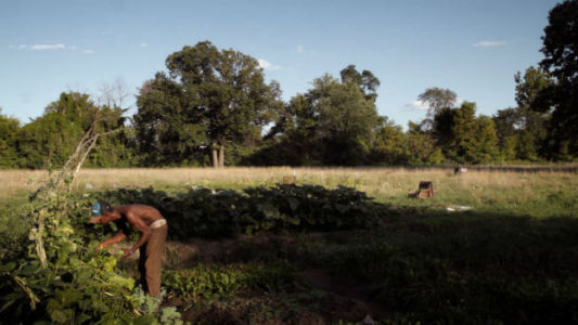 3 Acres Detroit Film