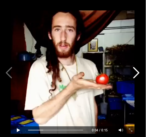 Tomotoe Video by Manna Farm Pemberton BC